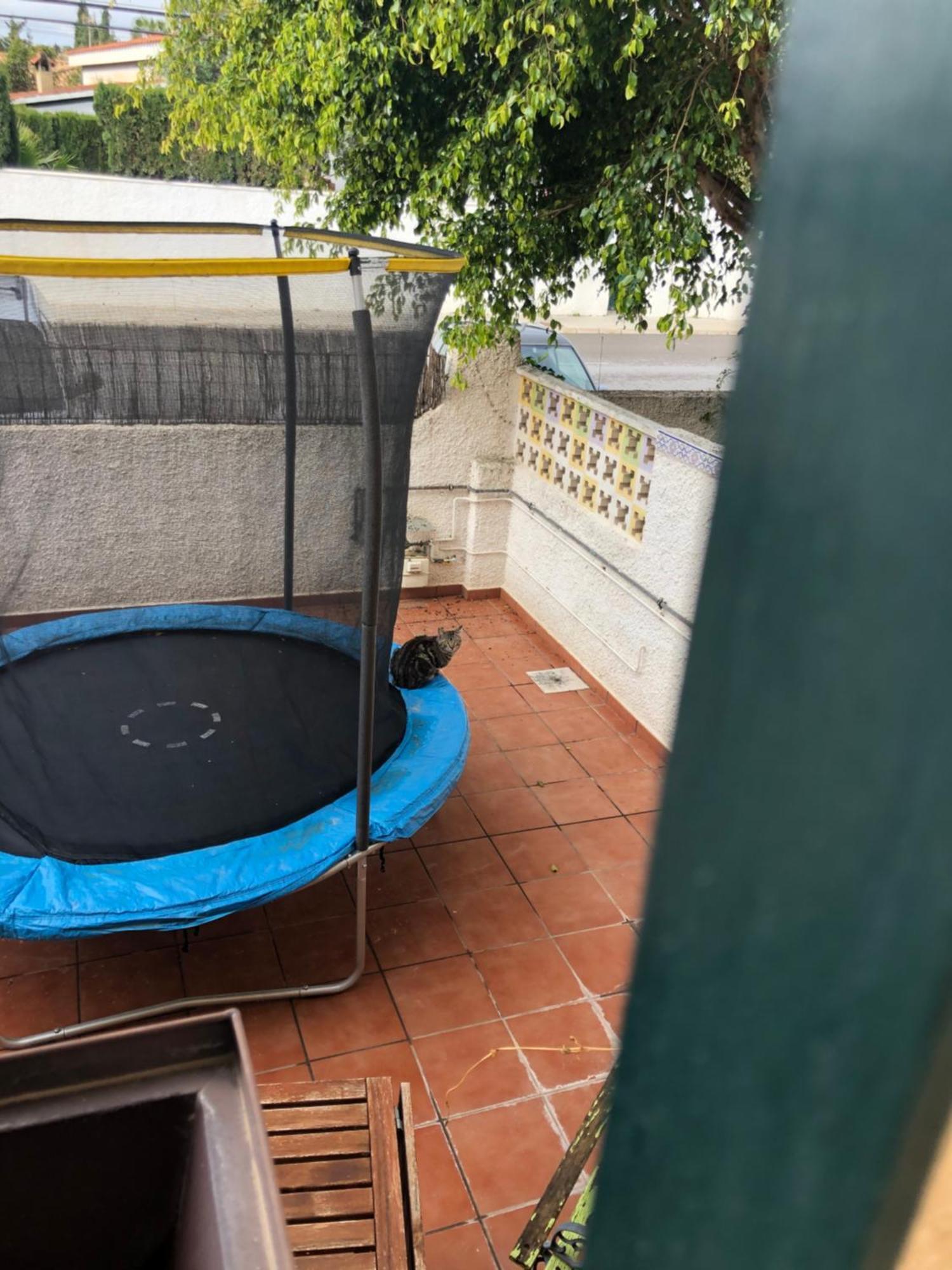 Casa En La Huerta De Mutxamel 빌라 외부 사진